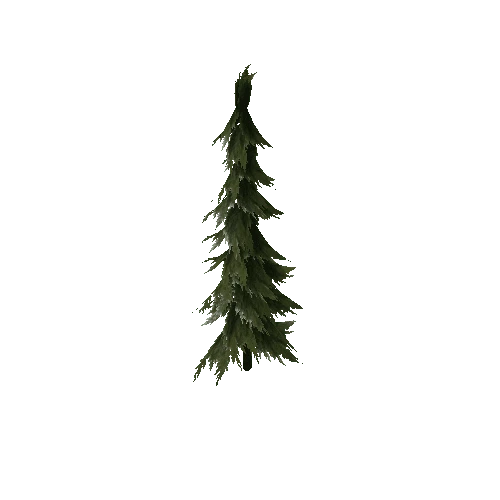Pine (Type 1) Large 1